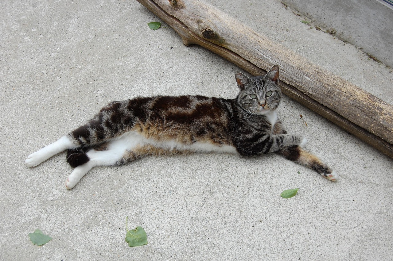 The Broader Implications for the Beverage Industry