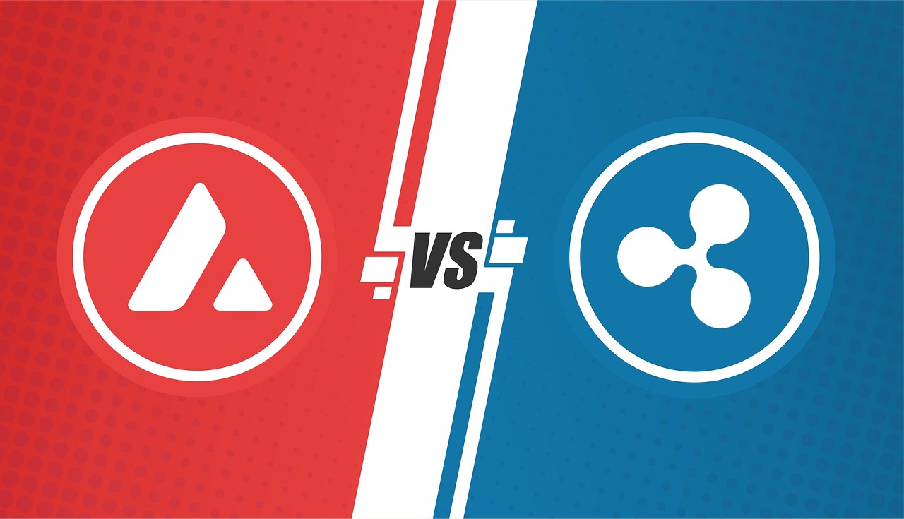 These examples illustrate the diverse approaches countries and organizations are